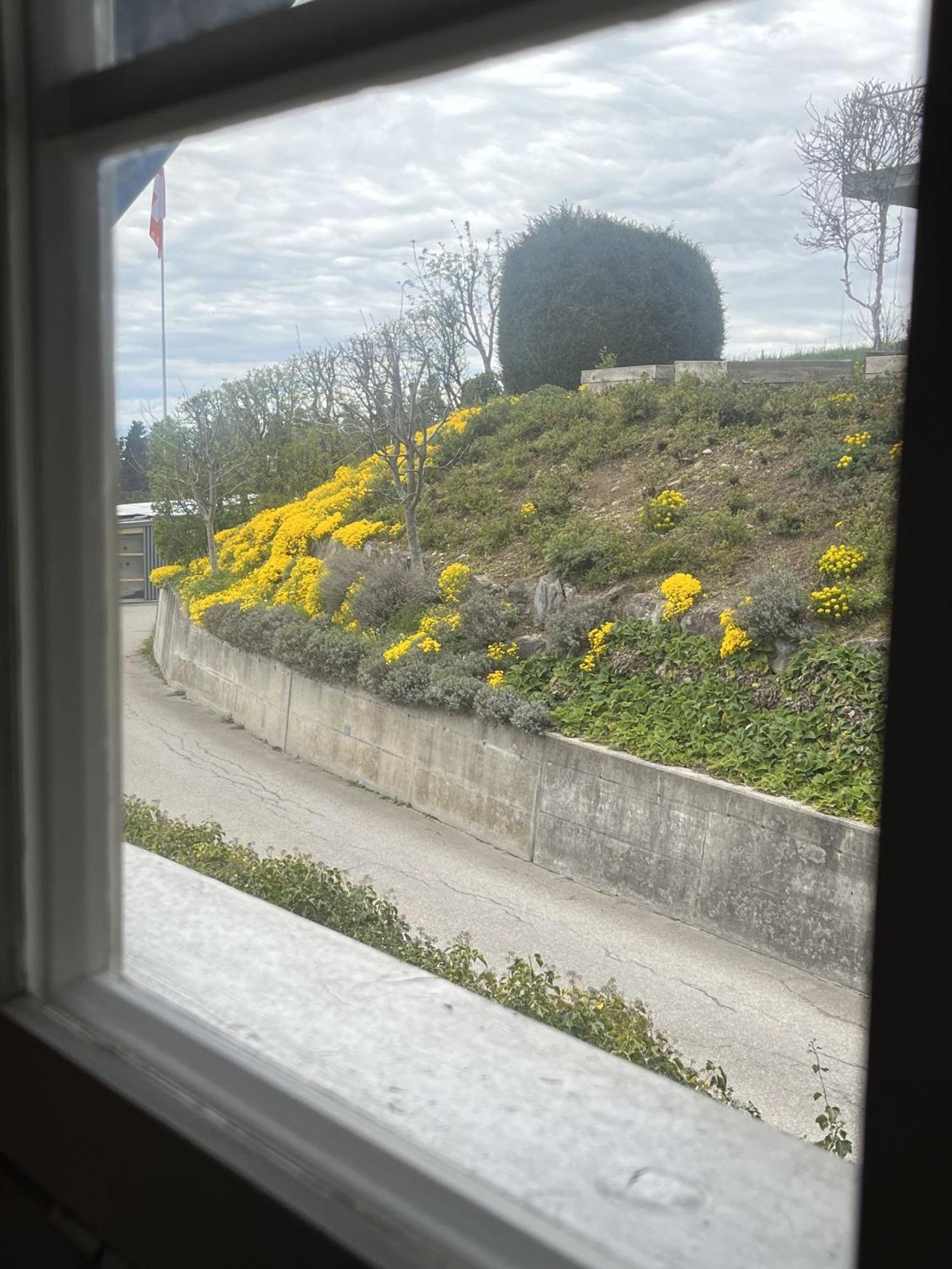 Guesthouse Sonnegg Heiligenschwendi Dış mekan fotoğraf