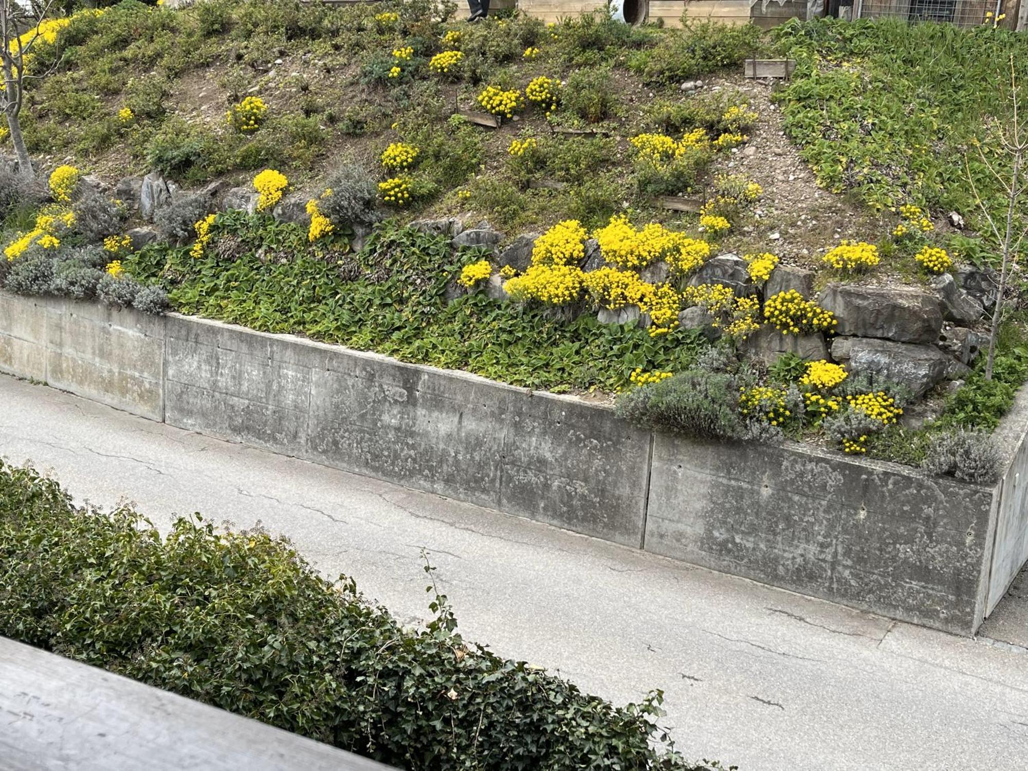 Guesthouse Sonnegg Heiligenschwendi Dış mekan fotoğraf